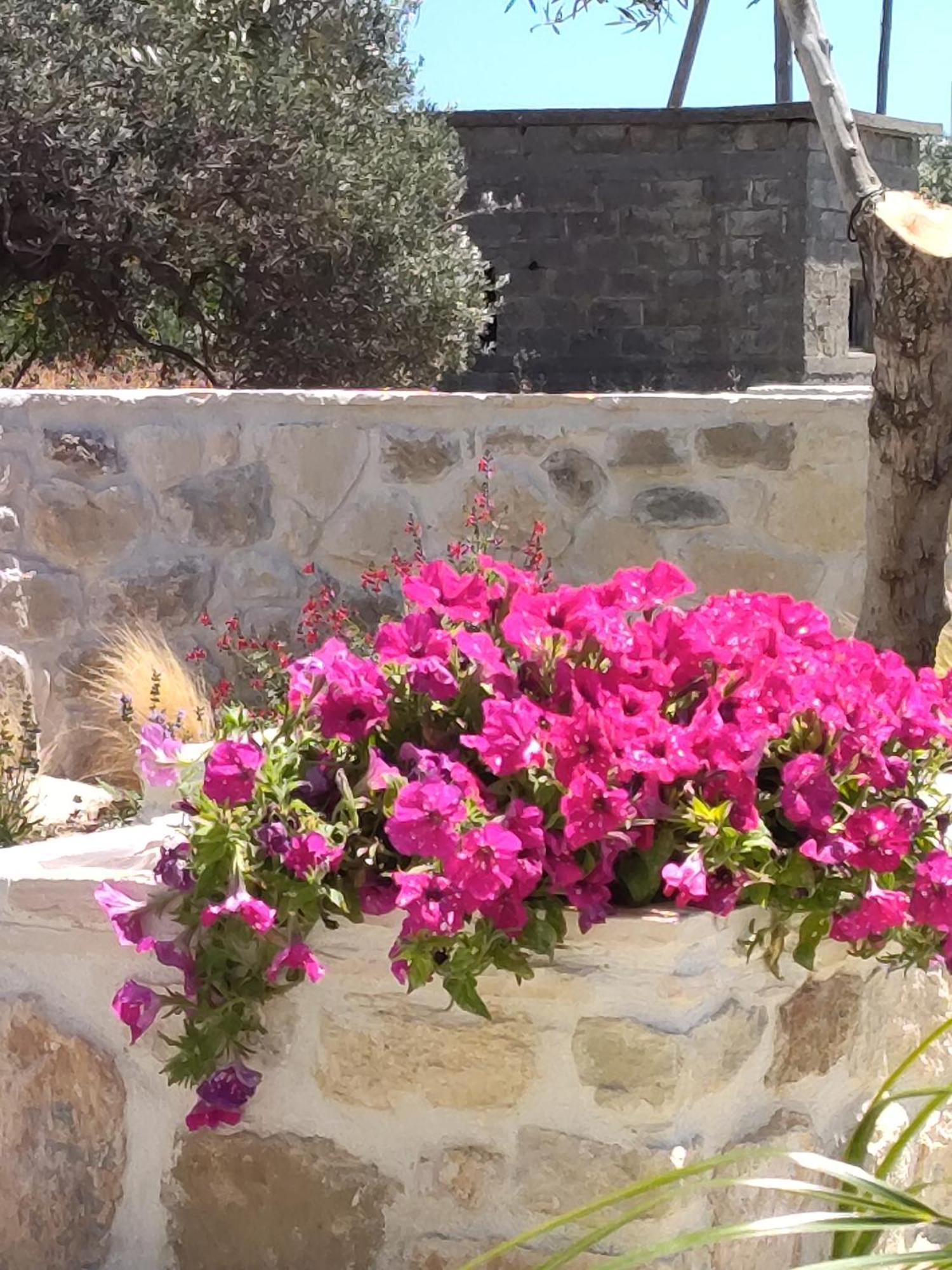 Casa vacanze Pasiphae Luxury House